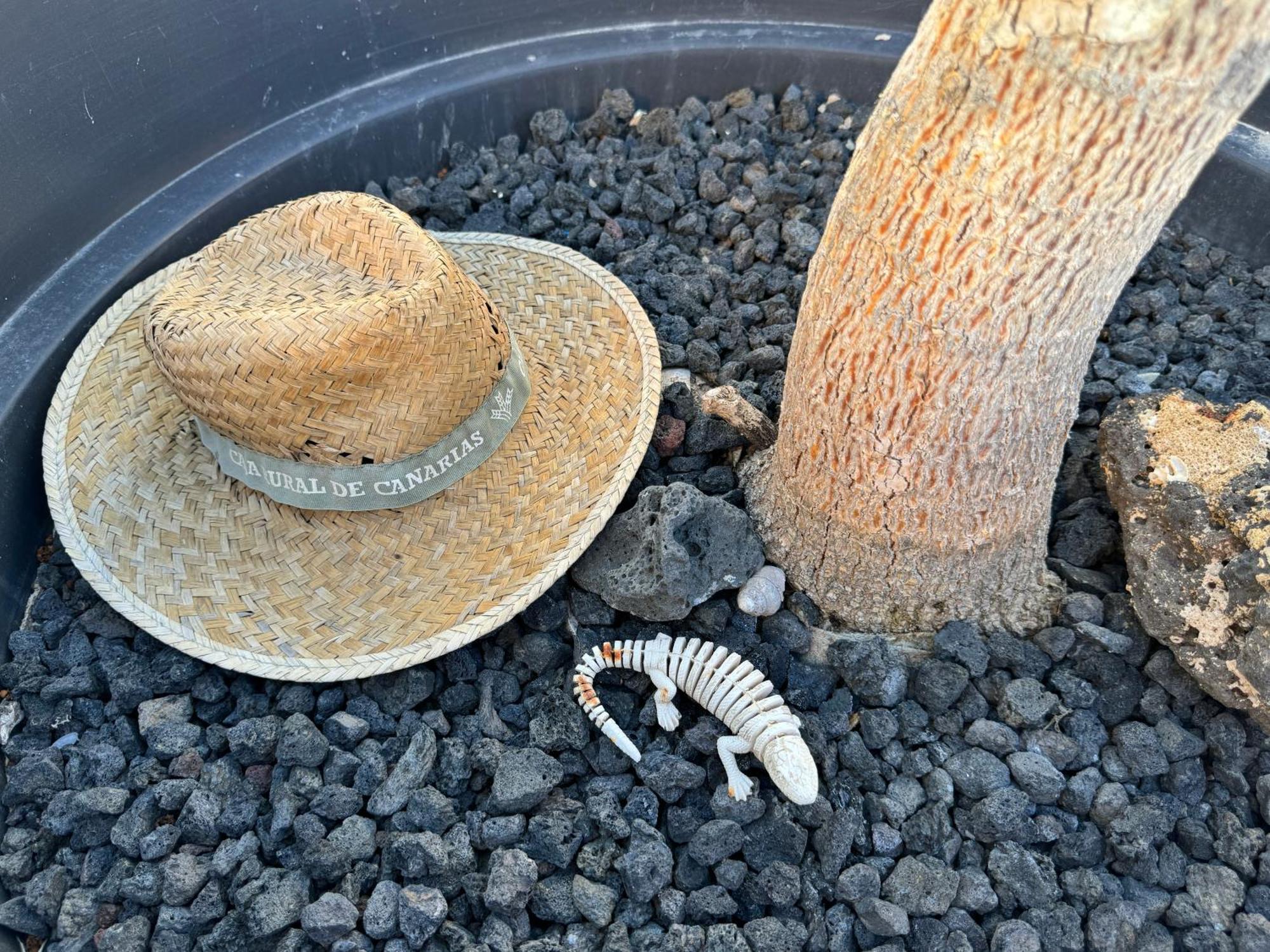 El Atico Bonito Lägenhet Las Playas Exteriör bild